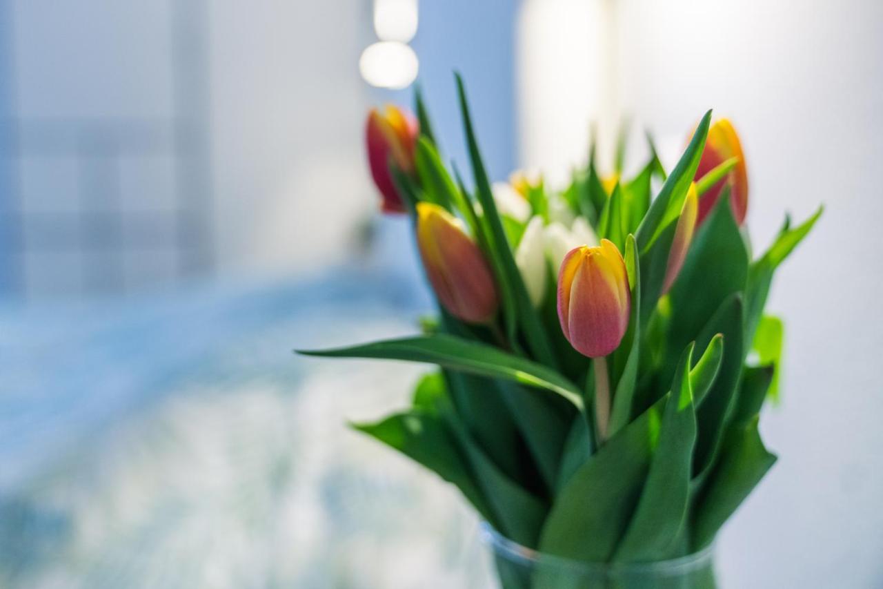 Apartament Ruote Apt - Dolcevita Holiday Florencja Zewnętrze zdjęcie